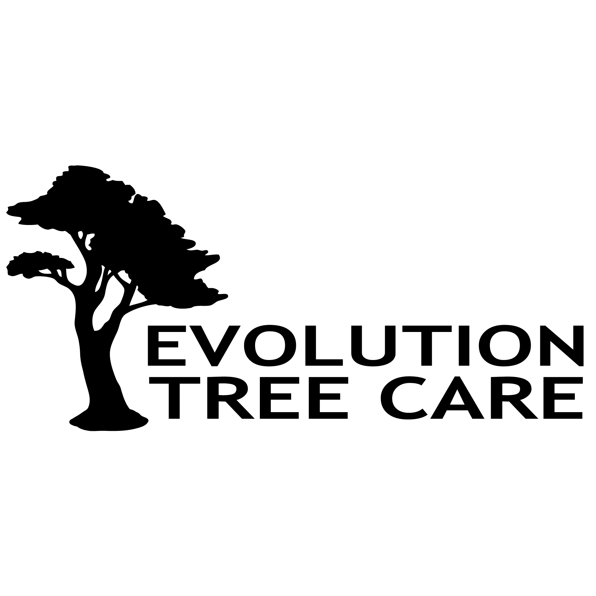 Georgina Tree Care Service - Georgina Tree Service - Call (705) 615-4117